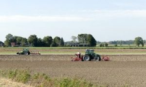 landschap van het platteland