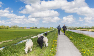 2 wandelaars in het veld