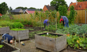 kruidentuin van Plaats de Wereld